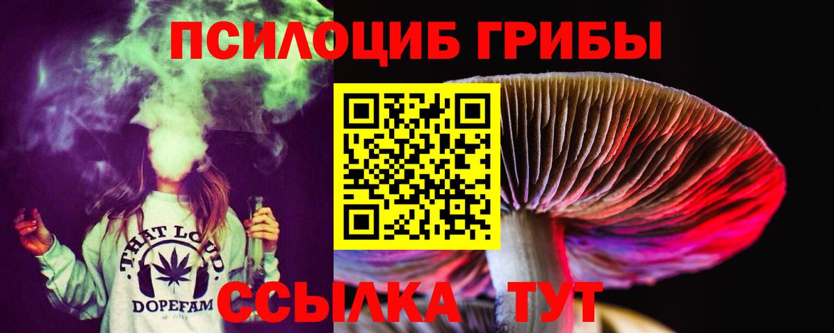 Галлюциногенные грибы ЛСД  Вход с VPN  магазин продажи наркотиков  Камышин 